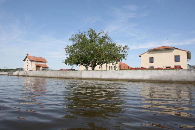 vue du barrage de l'étang départemental de Lindre