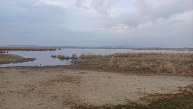 View of Dinnyési Fertő (marsh)