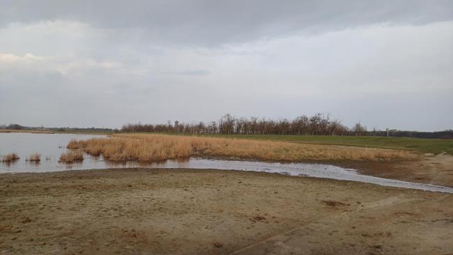 View of Dinnyési Fertő (marsh)