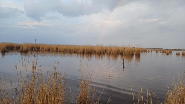 View of Dinnyési Fertő (marsh)