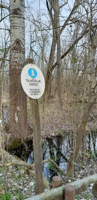 Protected area sign in the wet forest. 