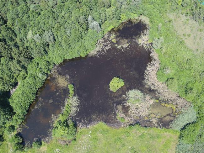 One of the small ponds - aerial picture