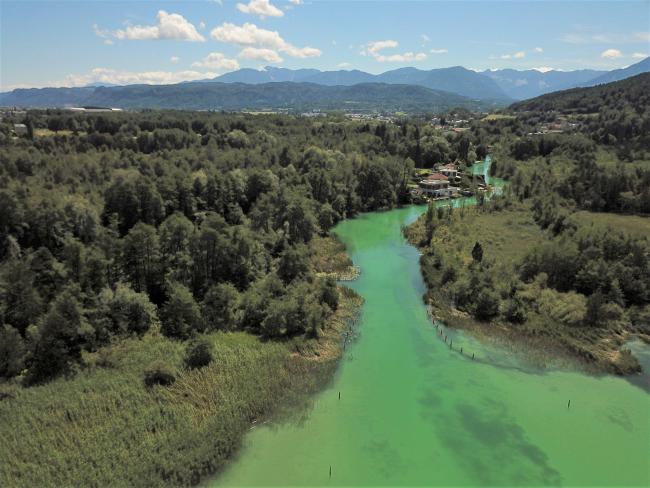Wet forest and creek mouth view from Lake Wörthersee - aerial picture