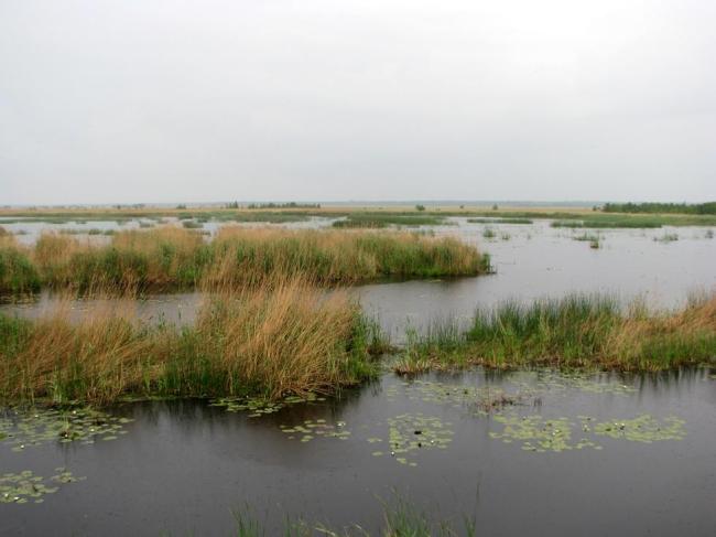 Pape Lake from the southern shore