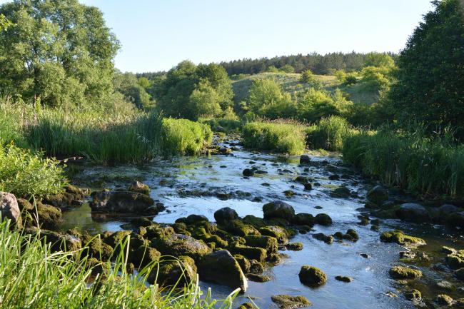 Murafa River 