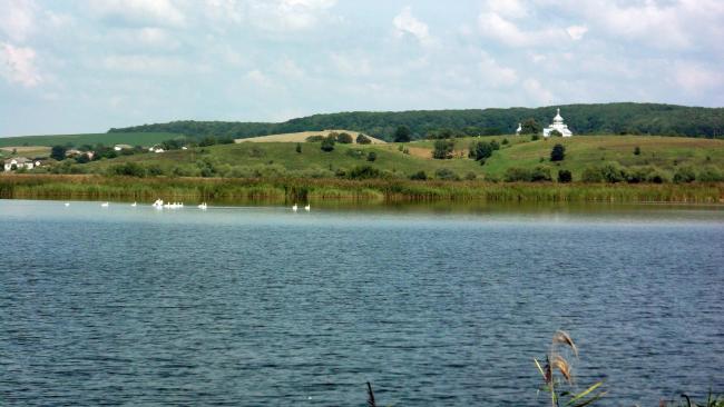 A view of the pond for commercial fishery (in the background – Kuropatnyky Village).