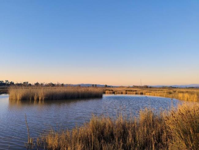 The pond at the end of the boardwalk path