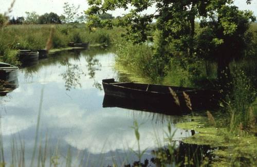 Chalands l'été