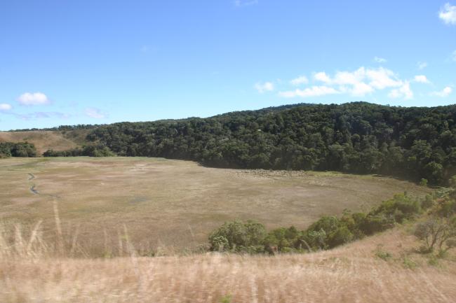 Marécage de Marotaolana