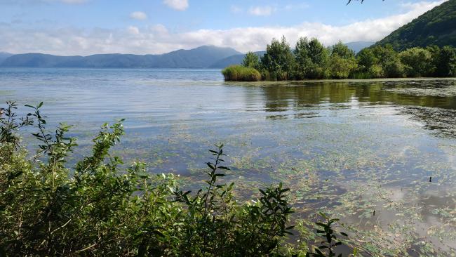 Oninuma Marsh on the southern side of Lake Inawashiro