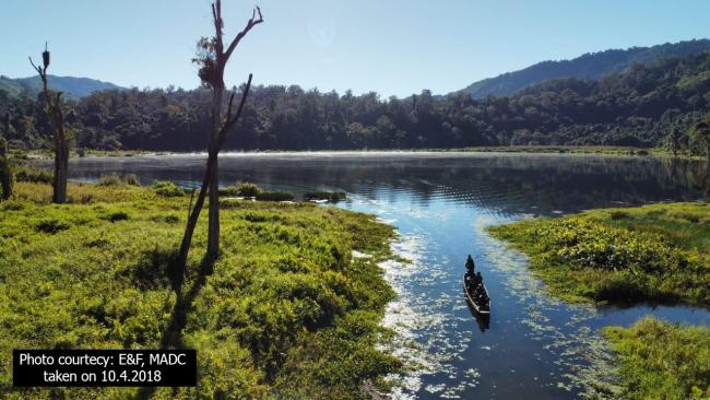 Pala wetland 