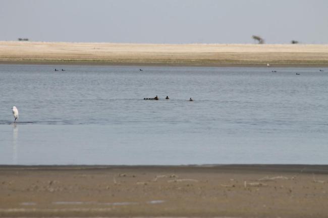 Paisaje del Estuario de Virrila