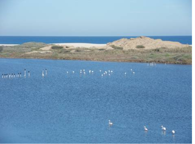 Cap des Trois Fourches 