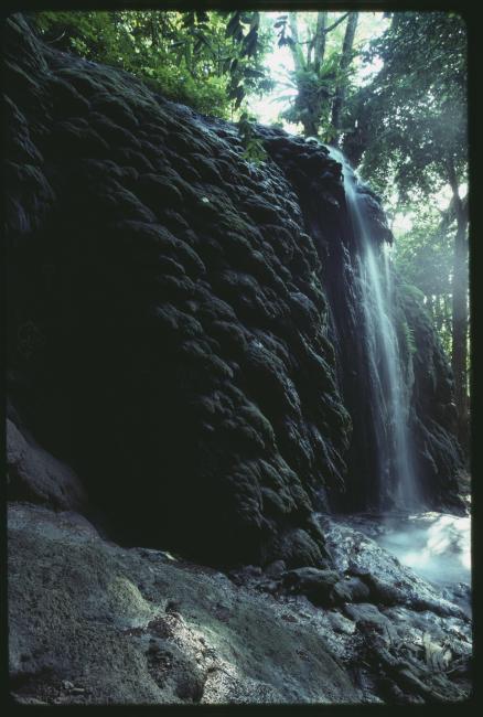 Tufa deposits at the Dales, Christmas Island. Date unknown.