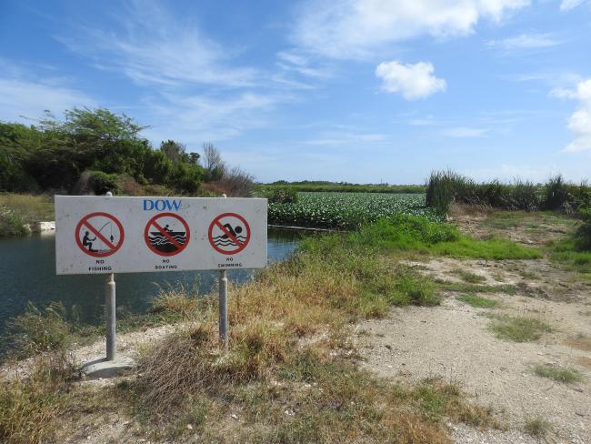 Information panel near the canal that connects Bubali Wetlands with the Caribbean Sea in the southwest of the site. The invasive water hyacinth can be seen in the background.