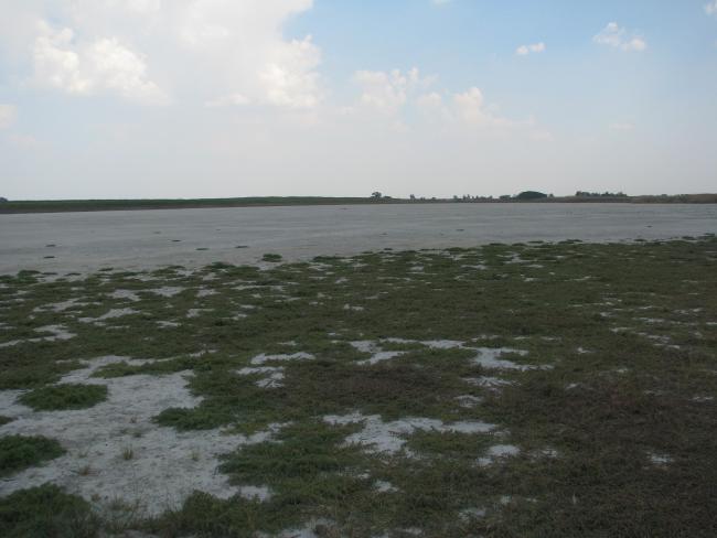 Salt lakes regularly dry out in summer