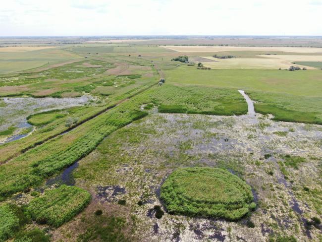 Aerial view of the lake