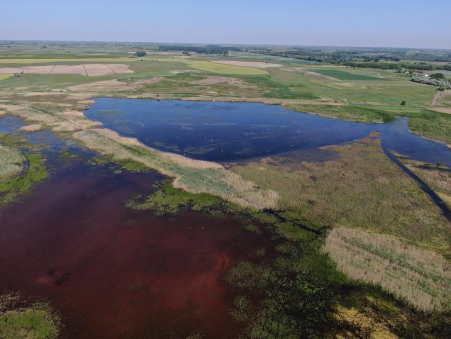 Aerial view of the lake