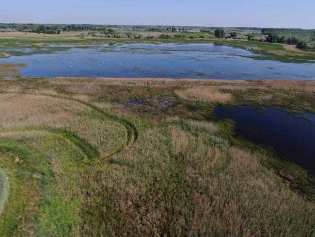 Aerial view of the lake