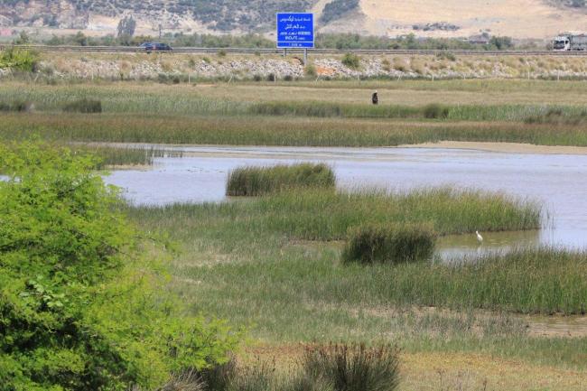 Complexe du bas Loukkos