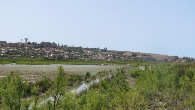Complexe du bas Loukkos