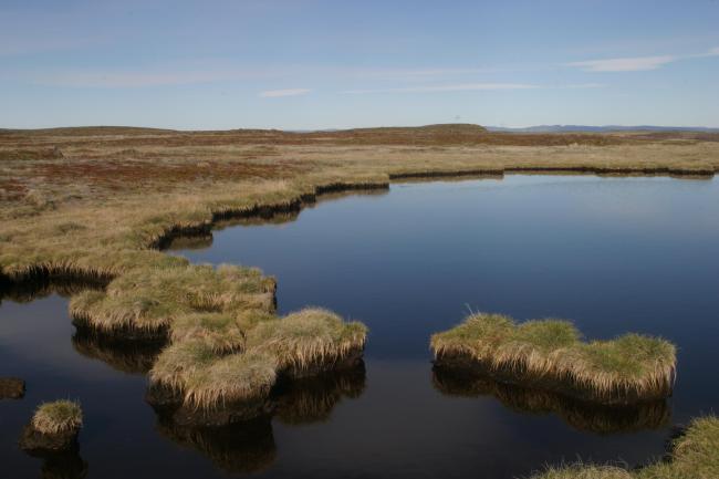 Pond on the island Innersuatsiaq.