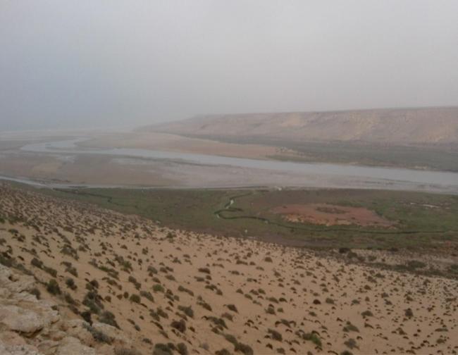 Embouchure de l'oued Dr'a