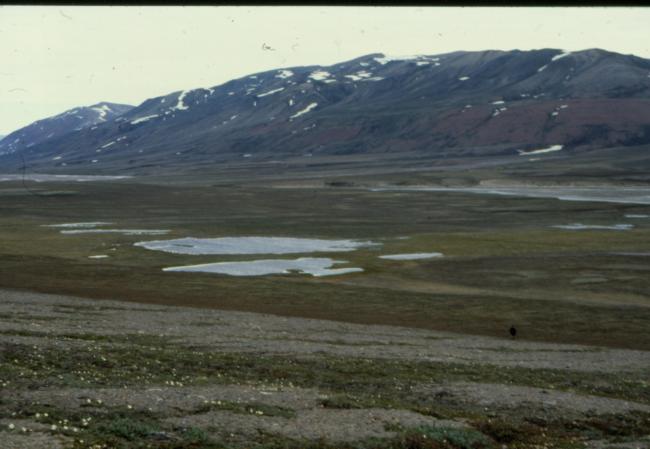 Central part of Ørsted Dal