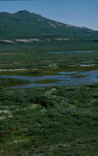 The central part of Sullorsuaq/Kvandalen.