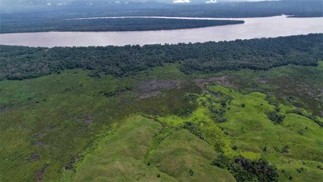 Boca del río Balsas, bosques inundables en la ribera del río y planicie inundada herbaceas