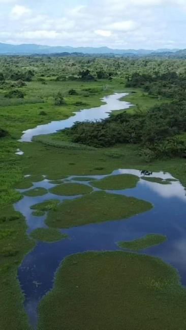 Laguna dentro del Humedal Matusagarati