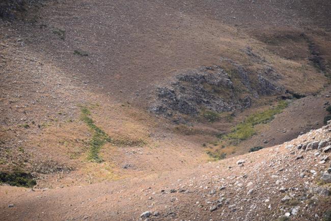 Numerous hillslope seep wetlands occur at DBNR