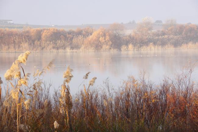 Amanecer en la laguna del Rincón, en el municipio de Aguilar de la Frontera (Córdoba)