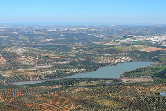 Panorámica de la laguna de Zóñar, en el municipio de Aguilar de la Frontera (Córdoba)
