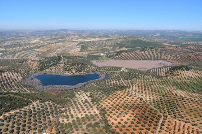 Panorámica de las lagunas Amarga (izquierda) y Dulce (derecha), en el municipio de Lucena (Córdoba)