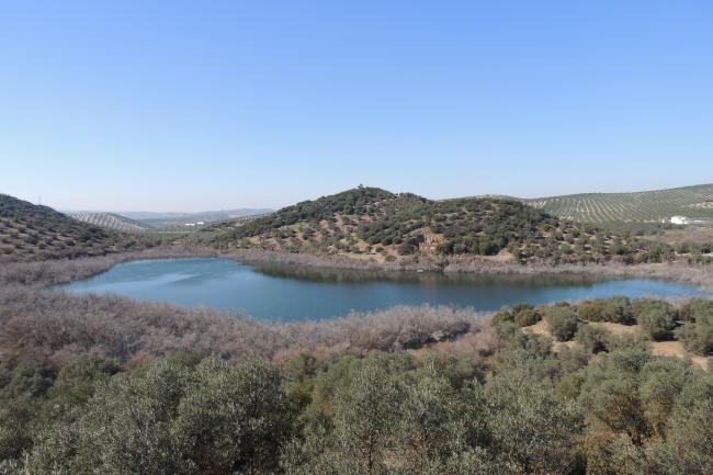 Panorámica de la laguna Amarga, en el municipio de Lucena (Córdoba)
