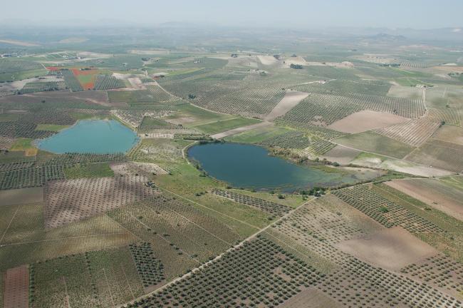 Panorámica de las lagunas del Rincón (derecha) y de Santiago (izquierda), en el municipio de Aguilar de la Frontera (Córdoba)