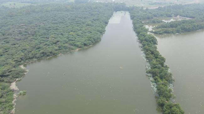 Sukhna Wetland