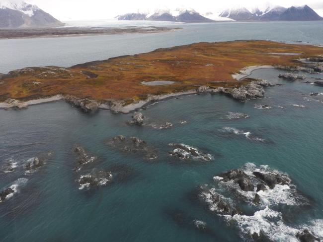 Sørkappøya