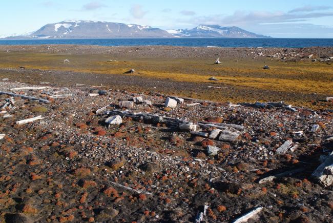Mosvatnet, Sørkappøya. Remains from a Russian trappers station