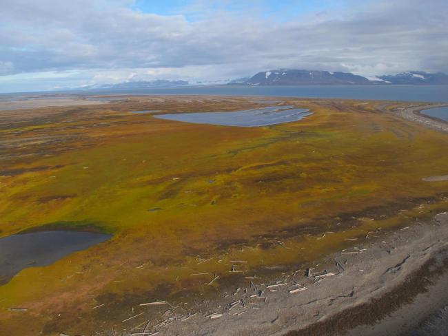 Sørkappøya