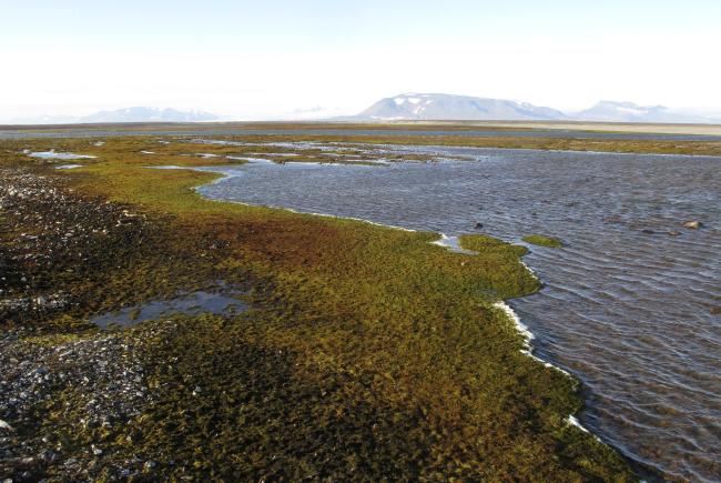 Sørkappøya
