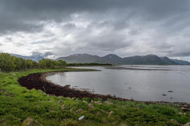 Small bay in the Southwestern part of the Reserve. Risøybukta in the background.