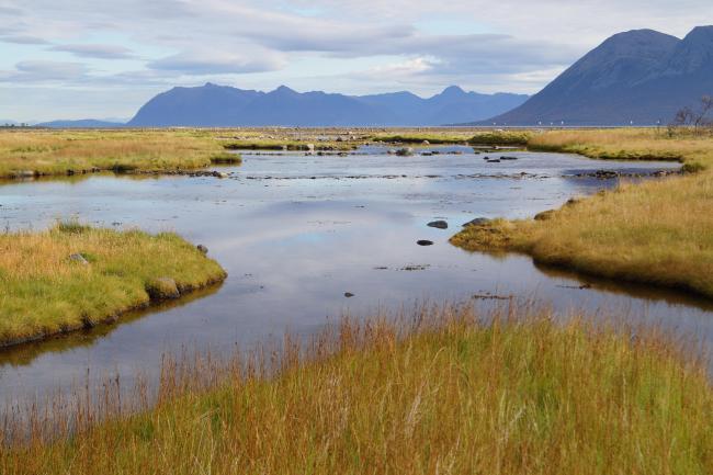 View towards Northwestern parts of Risøysundet