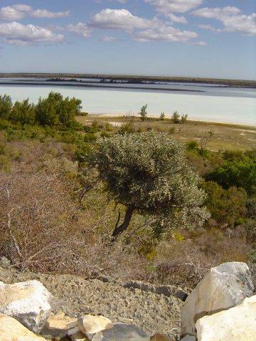 View west across Lac Tsimanamsotsa from escarpment.