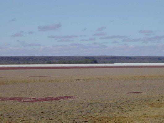 View east across Lac Tsimanamsotsa, north end.