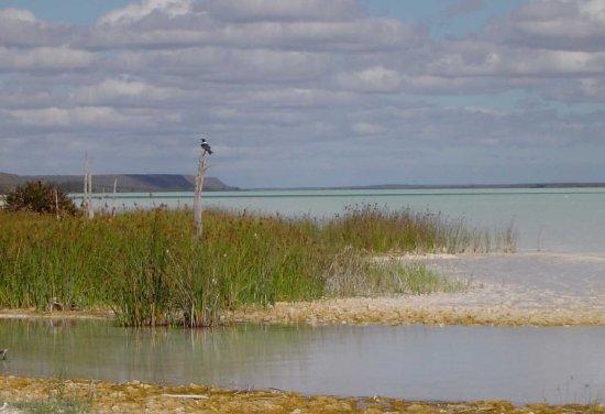 View south along west shore, Lac Tsimanamsotsa.