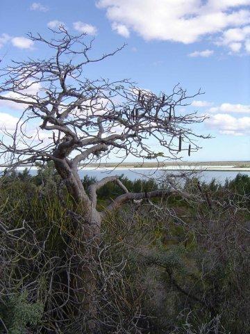 View west across Lac Tsimanamsotsa from escarpment.