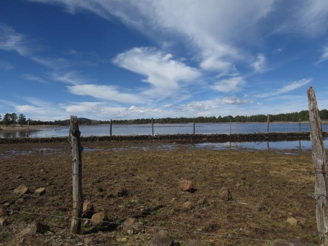 Laguna Los Corrales