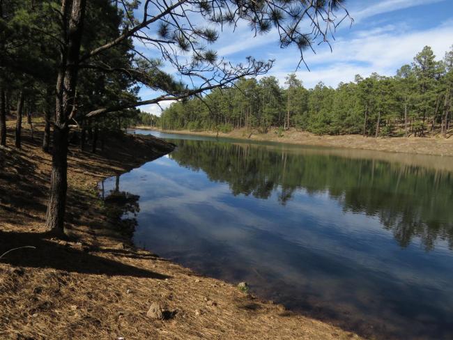 Presa Bajío de Tónachi
